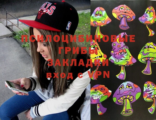 шишки Вяземский