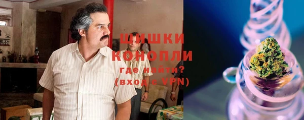 гашик Липки