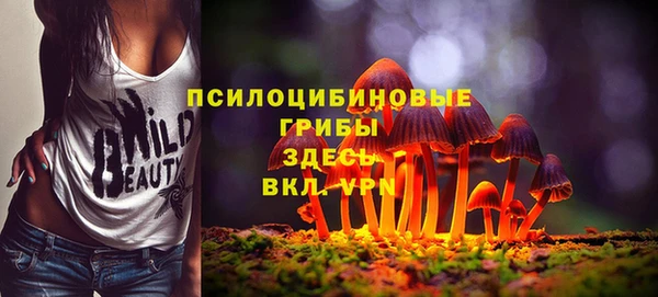 шишки Вяземский