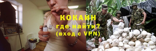 шишки Вяземский