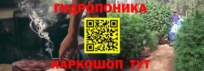прущая мука Кимры