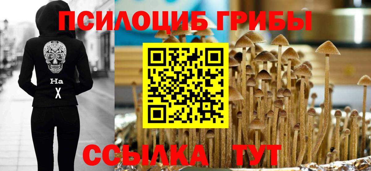 Галлюциногенные грибы мицелий  Вход с VPN  Наро-Фоминск  Псилоцибиновые грибы Magic Shrooms 