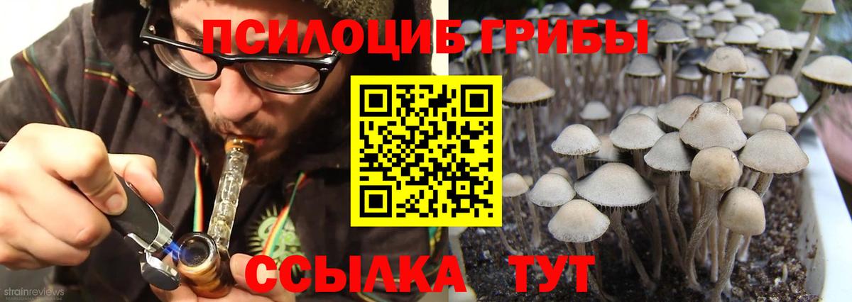 Псилоцибиновые грибы Magic Shrooms Наро-Фоминск